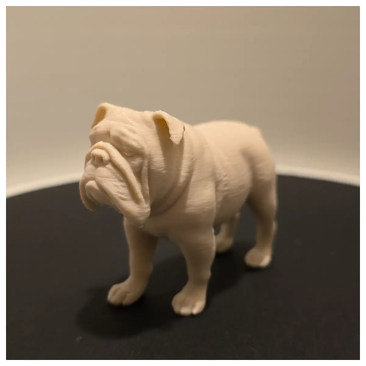 Old English Bulldog Toys Dog House Dog Food Pet Accessories Dog Chain Collar British Bulldog Puppies Pet Supplies