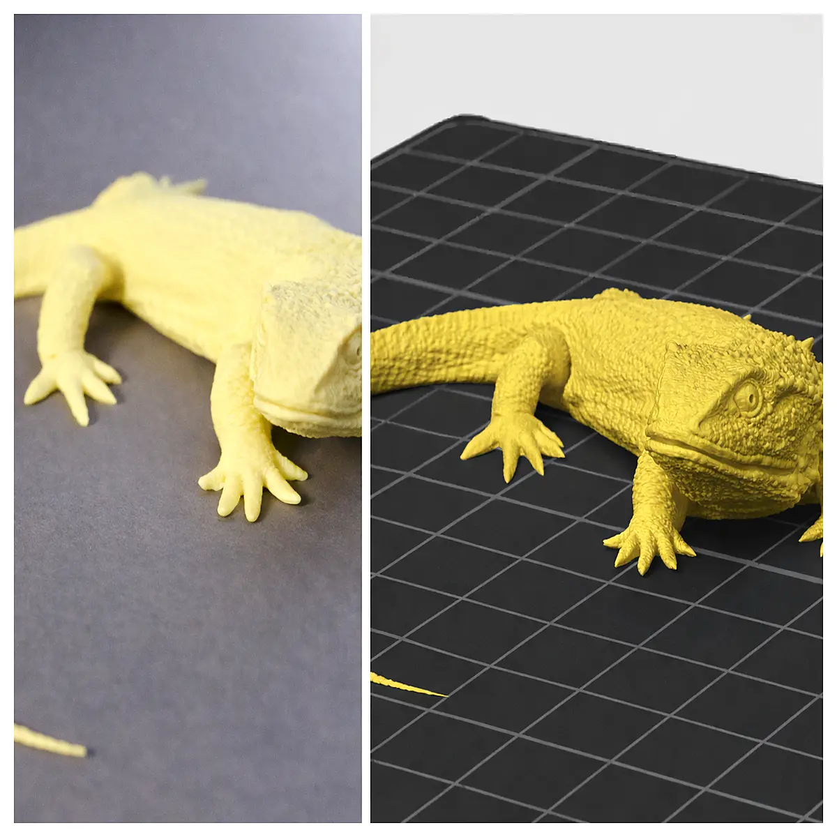 Realistic Lizard Model Authentic Reptile Figure Educational Toy Collection Decoration Animal Display Lifelike Lizard Figure
