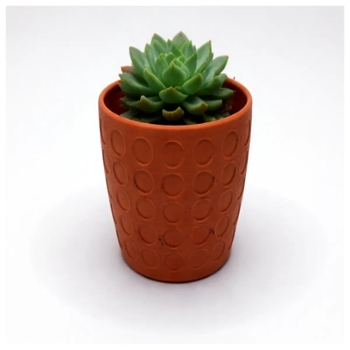 cute mini succulent pots for desk small decorative flower planters for home office adorable tiny garden accessories
