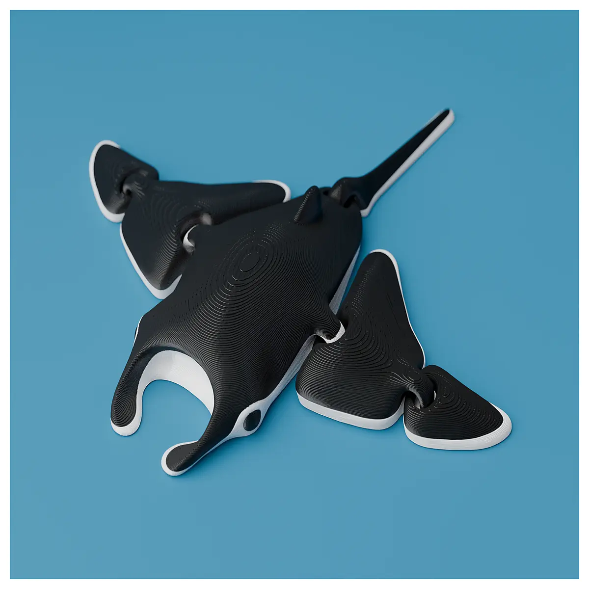 Mobile Joint Whale Research Model Experiment Biology Education Skeletal System Anatomy Model for Labs Studies
