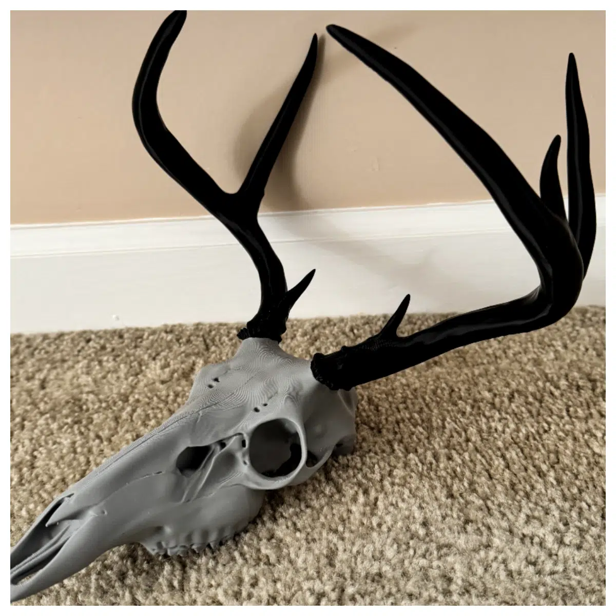 European Style Deer Head Specimen 7 Points Decoration Figurine Hunter Gift Collection Deer Display