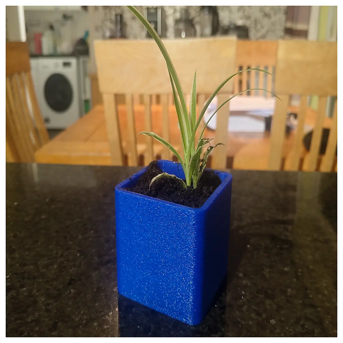 Flower Pot Creative Decoration Indoor Plants Plant Stand Potted Plant Happy Flower Pot Accessories