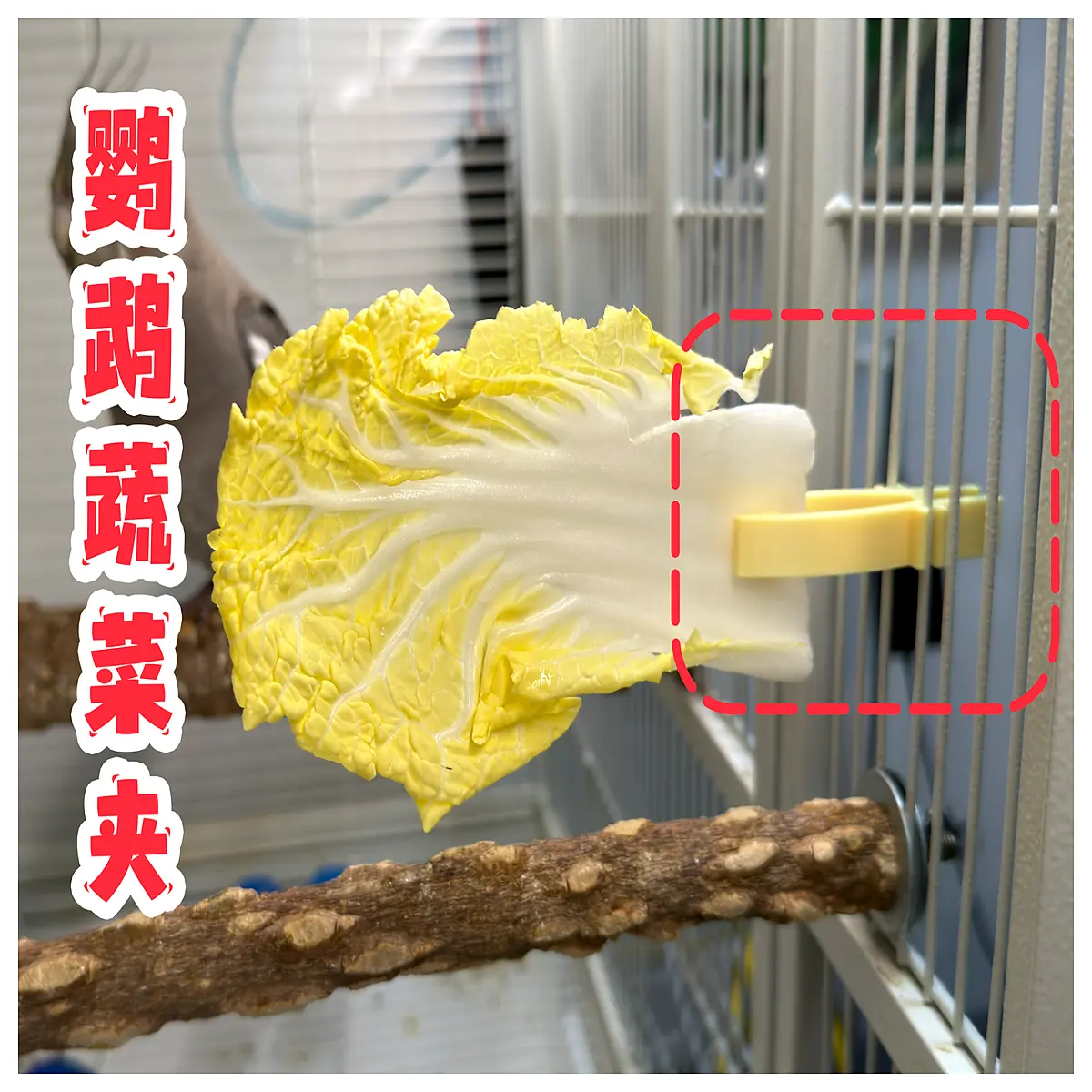bird vegetable clip feeder for parrots macaws cockatiels hanging chew toy enrichment