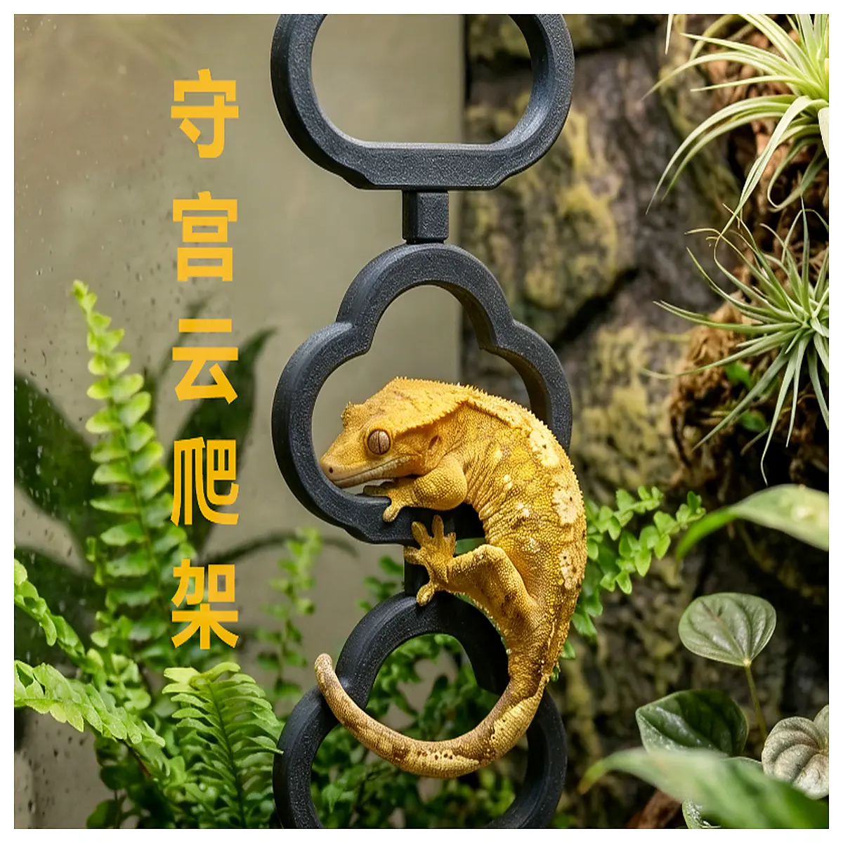 reptile climbing wall for geckos bearded dragons terrarium accessories vertical habitat enrichment