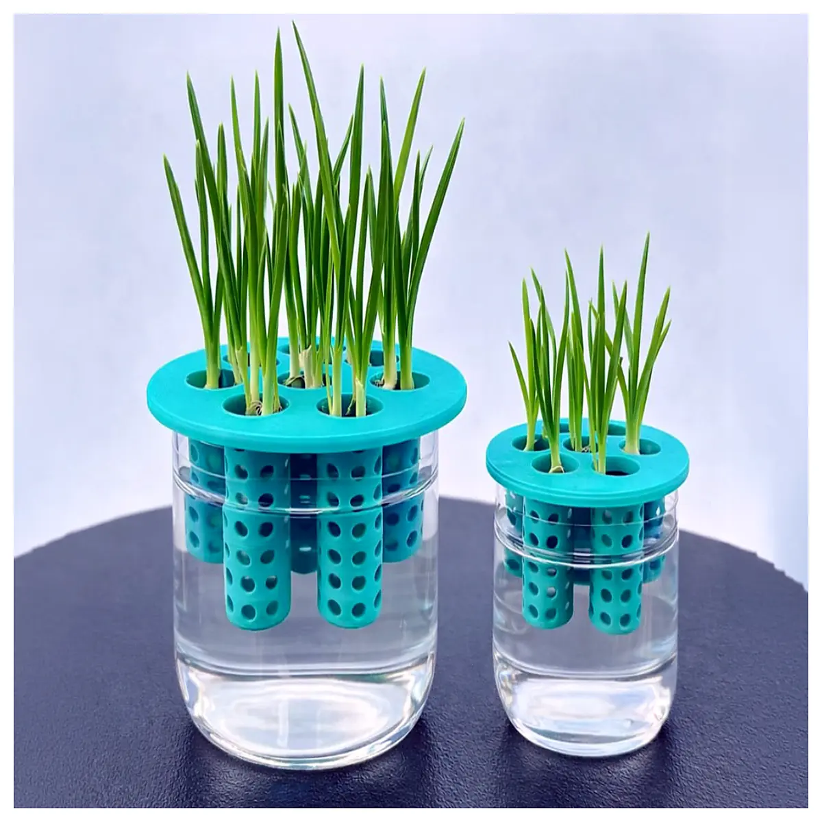 Hydroponic Propagation Tray Seed Starter Box Vegetable Growing Indoor Garden Container Easy Plant Propagation