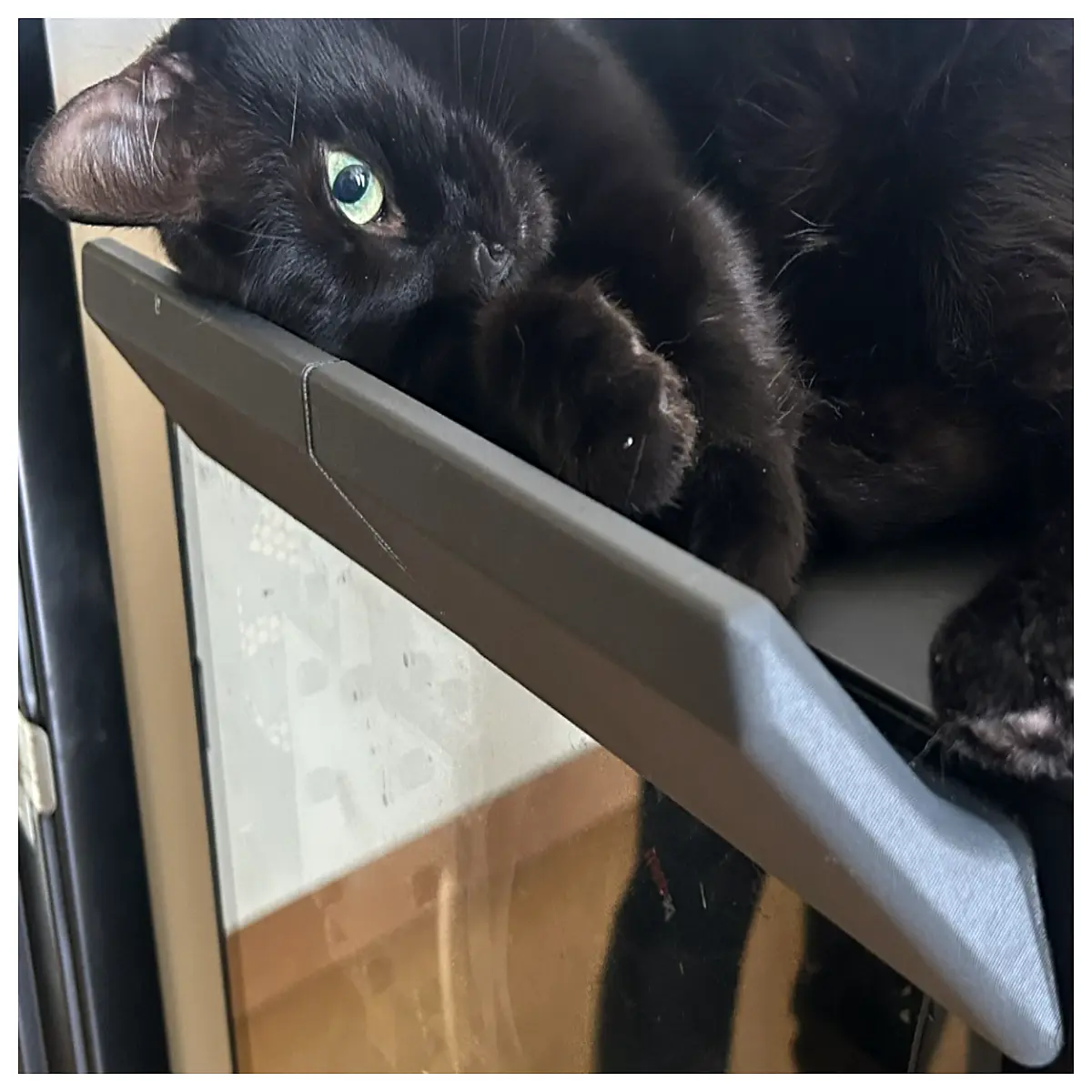 cat holder for phone tablet adjustable desktop mount grip accessory