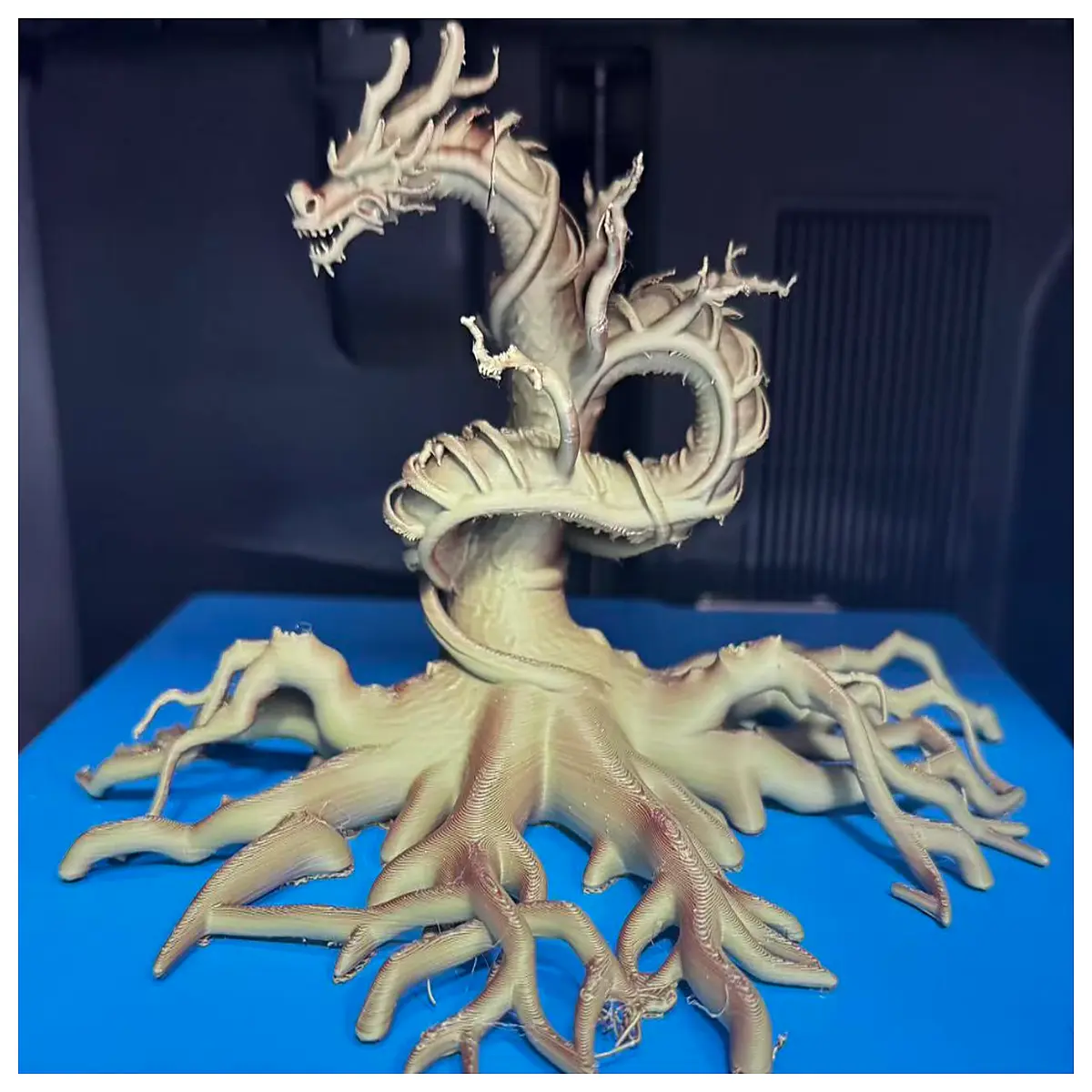 dragon tree plant aquarium decoration fish tank hiding spot for betta guppy goldfish