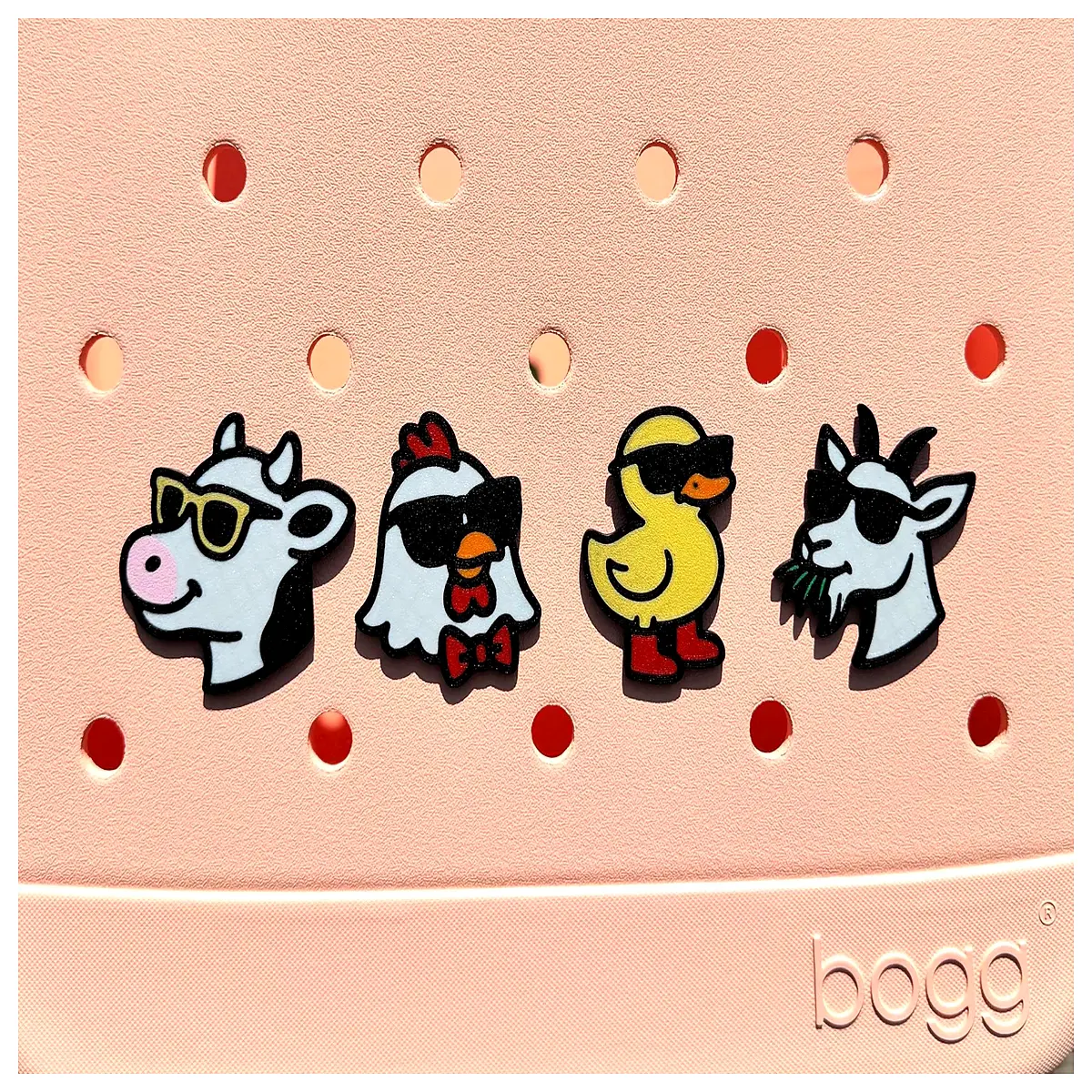 GoGo Bag Dog Sunglasses Animal Charms Travel Bag Pet Accessories Durable Practical