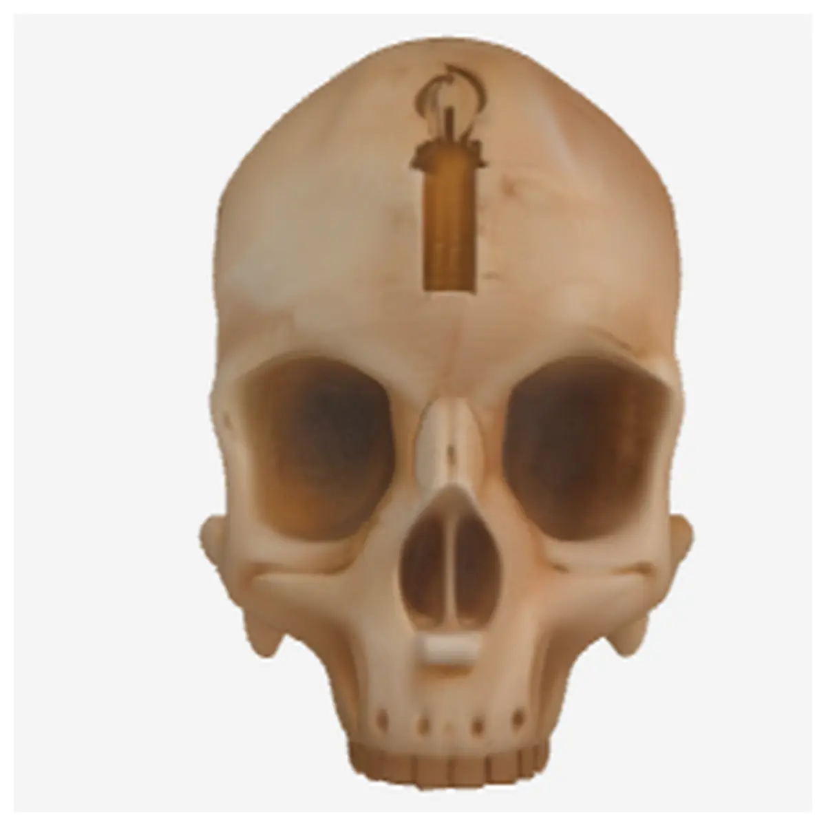 grunt skull birthday party decor horror wall art prop