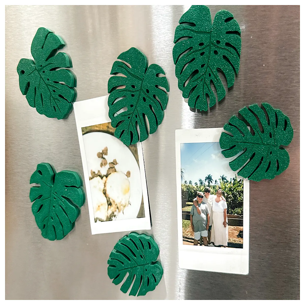 monstera leaf magnet 2x5mm round neodymium disc for jewelry making diy crafts magnetic closure