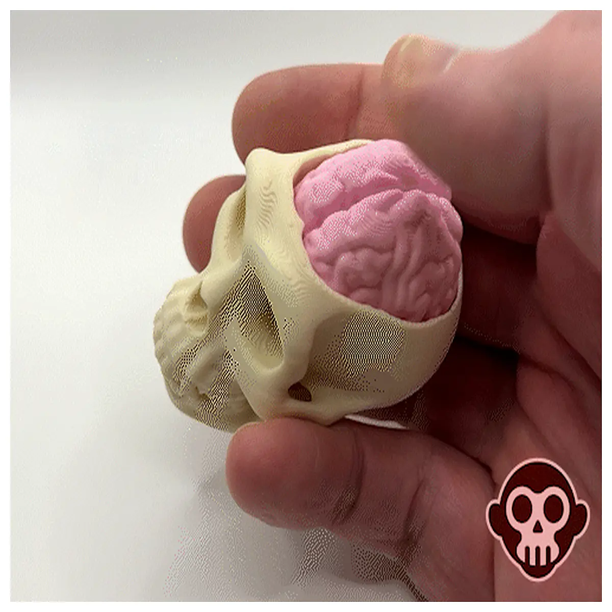Monkey Skull Stress Toy Clicking Sound Quiet Relief Device Fidget Toy Aid Anxiety Relief