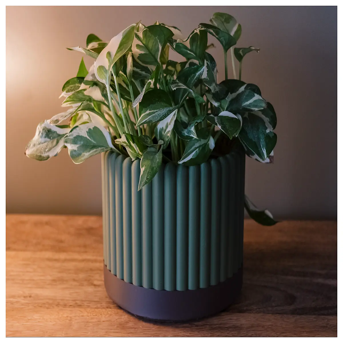 modern ribbed planter cover pot sleeve indoor outdoor decorative garden container