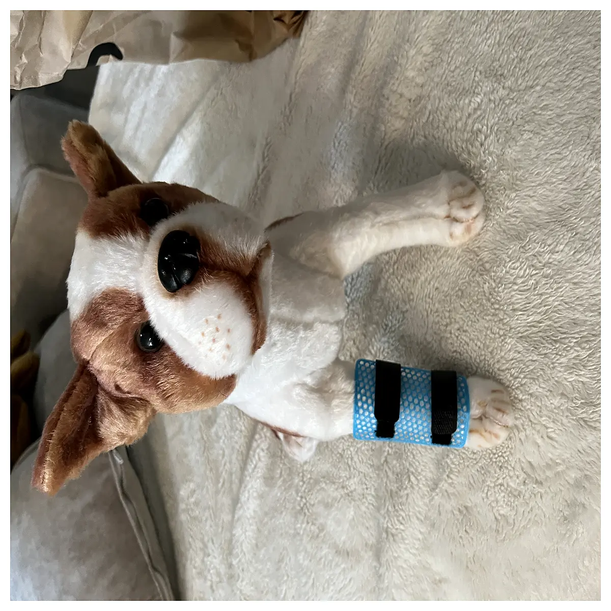 Animal Cat Dog Feeding Tube Protector Bite Guard Sleeve Tube Protection Feeding Tube Accessories Pet Tube Safety Cover Veterinary Tube Sleeve