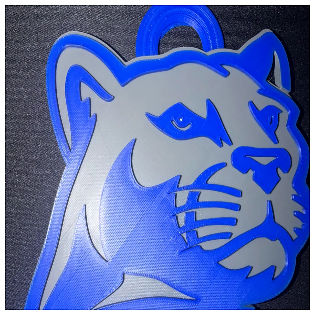 Pennsylvania State University State Chain Link Vintage Commemorative Item Campus Decor Graduation Gift College Emblem