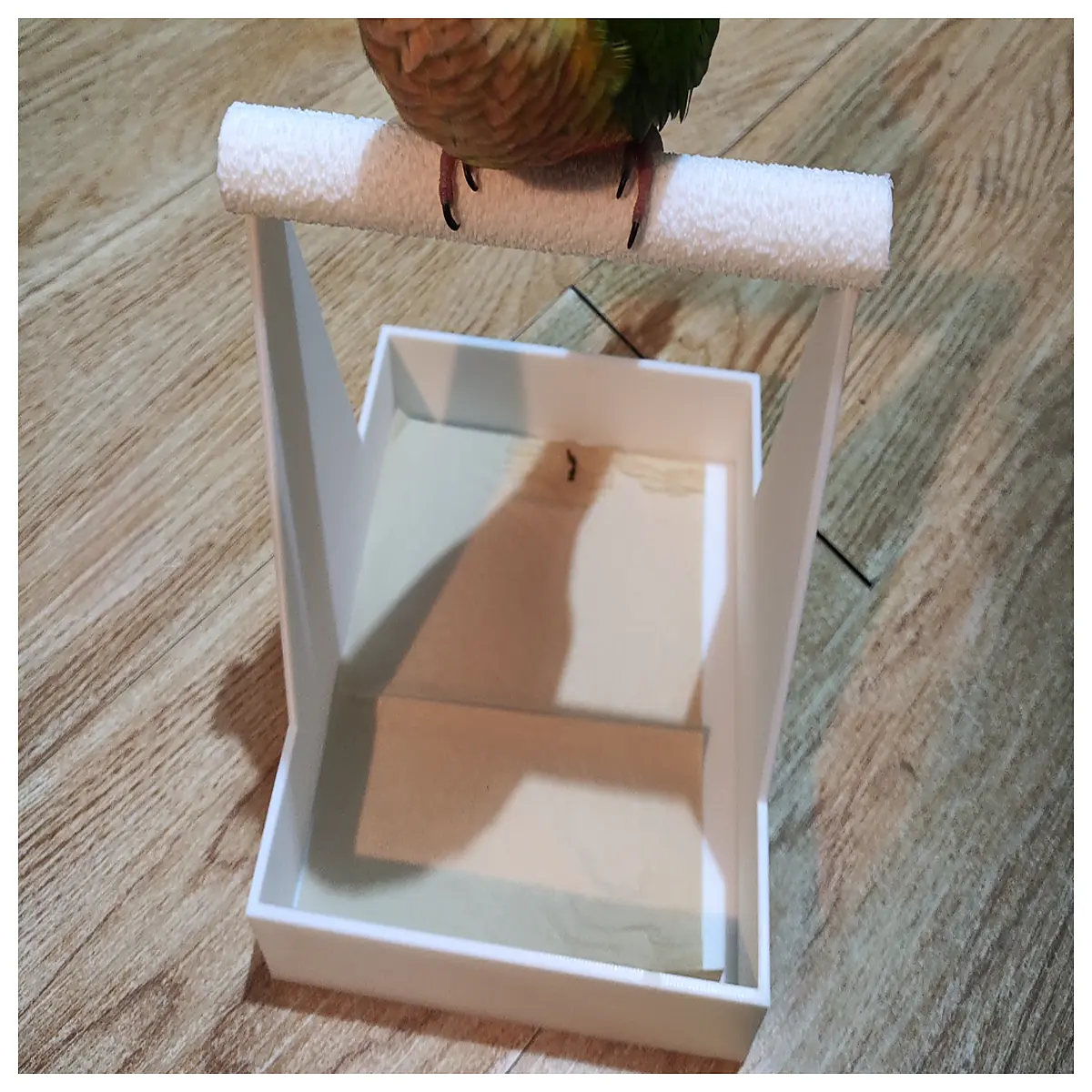 Parrot Poop Training Stand Small Bird Fixed Post for Droppings Bird Training Accessory Cage Accessories