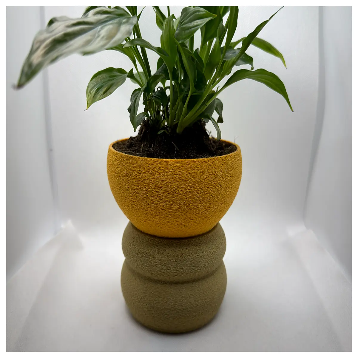 Self Watering Flower Pot d Design Indoor Garden Planter Lazy Person Pot Succulent Container Easy Care Plant Box