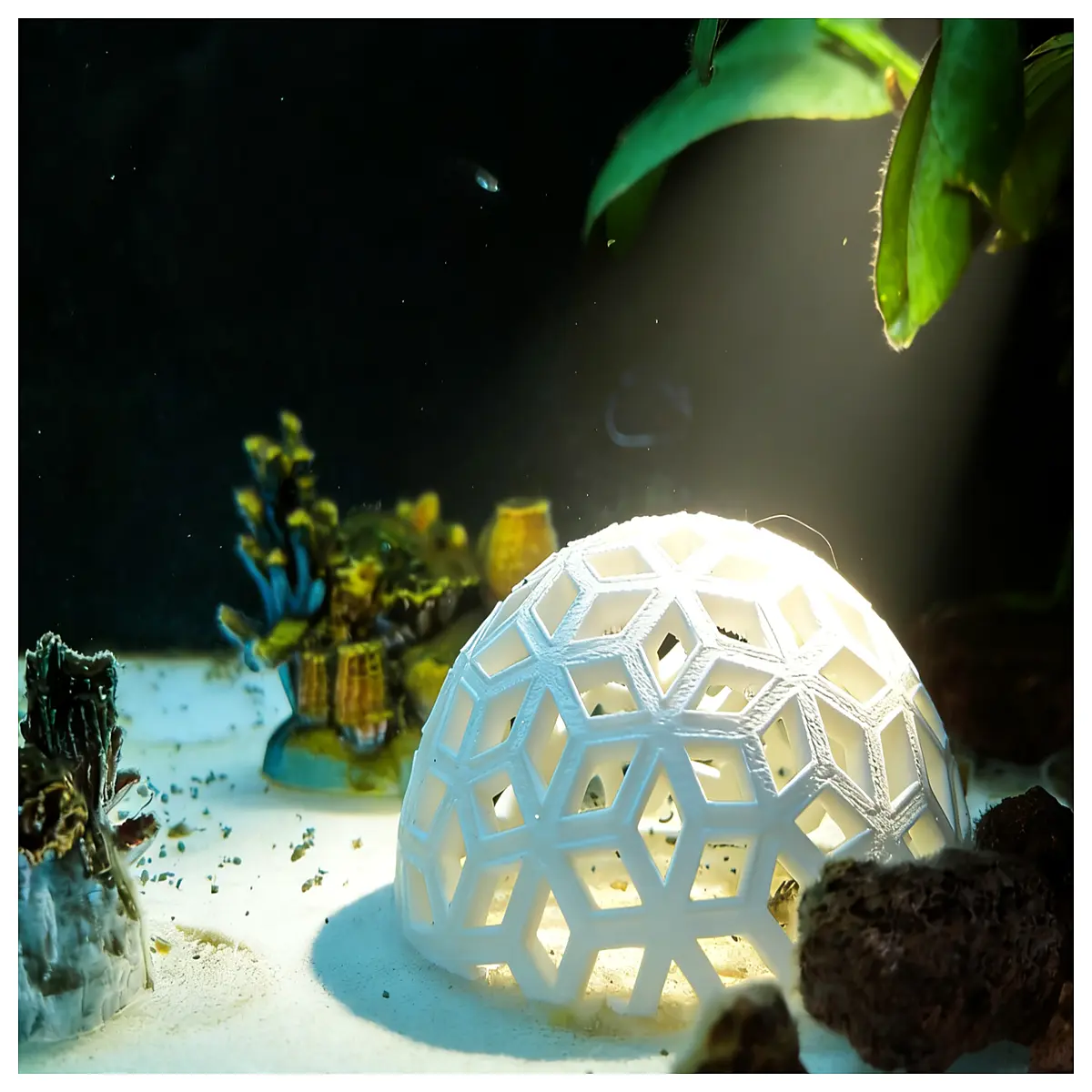 Cube of the Void Shrimp Hideout Game Accessory Combat Gear Starfall Invasion Optimization Shrimp Hideout Game Parts
