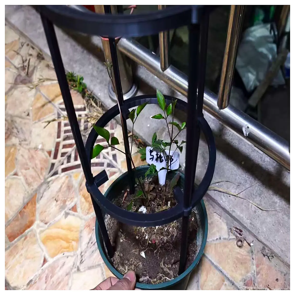 15 Gallon Flower Pot Climbing Rack Vine Support Balcony Flower Stand Vertical Garden Succulent Planter Holder