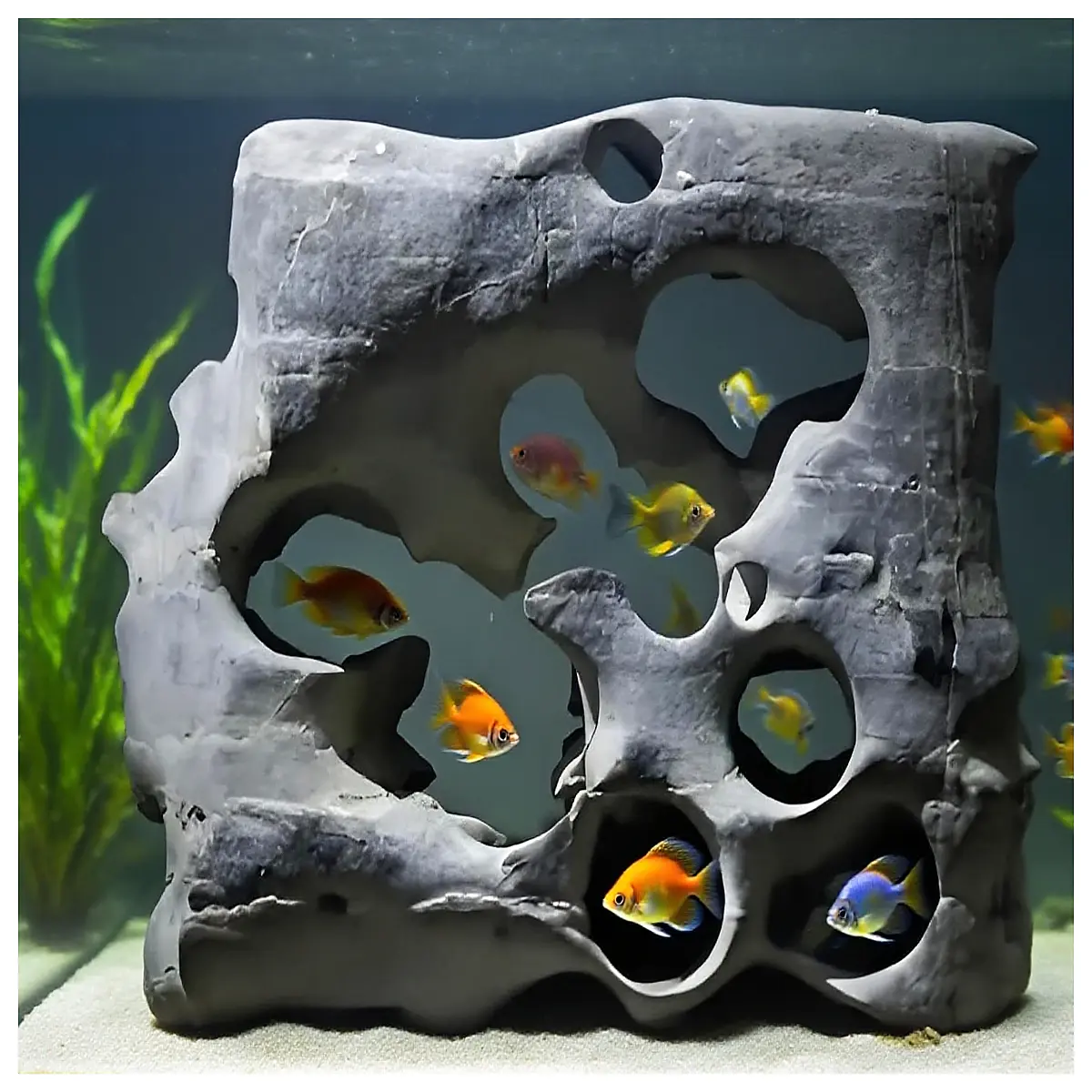 Pinhole Aquarium Stones Aquarium Backdrop Fish Tank Decoration Aquarium Landscape Rocks Aquarium Decorative Stones