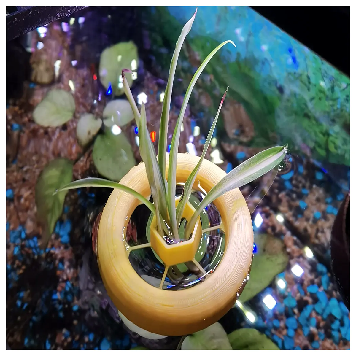 Aquarium Plant Stand Fish Tank Plant Shelf Driftwood Support Substrate Holder Desktop Aquarium Landscape Mini Aquarium Assembly