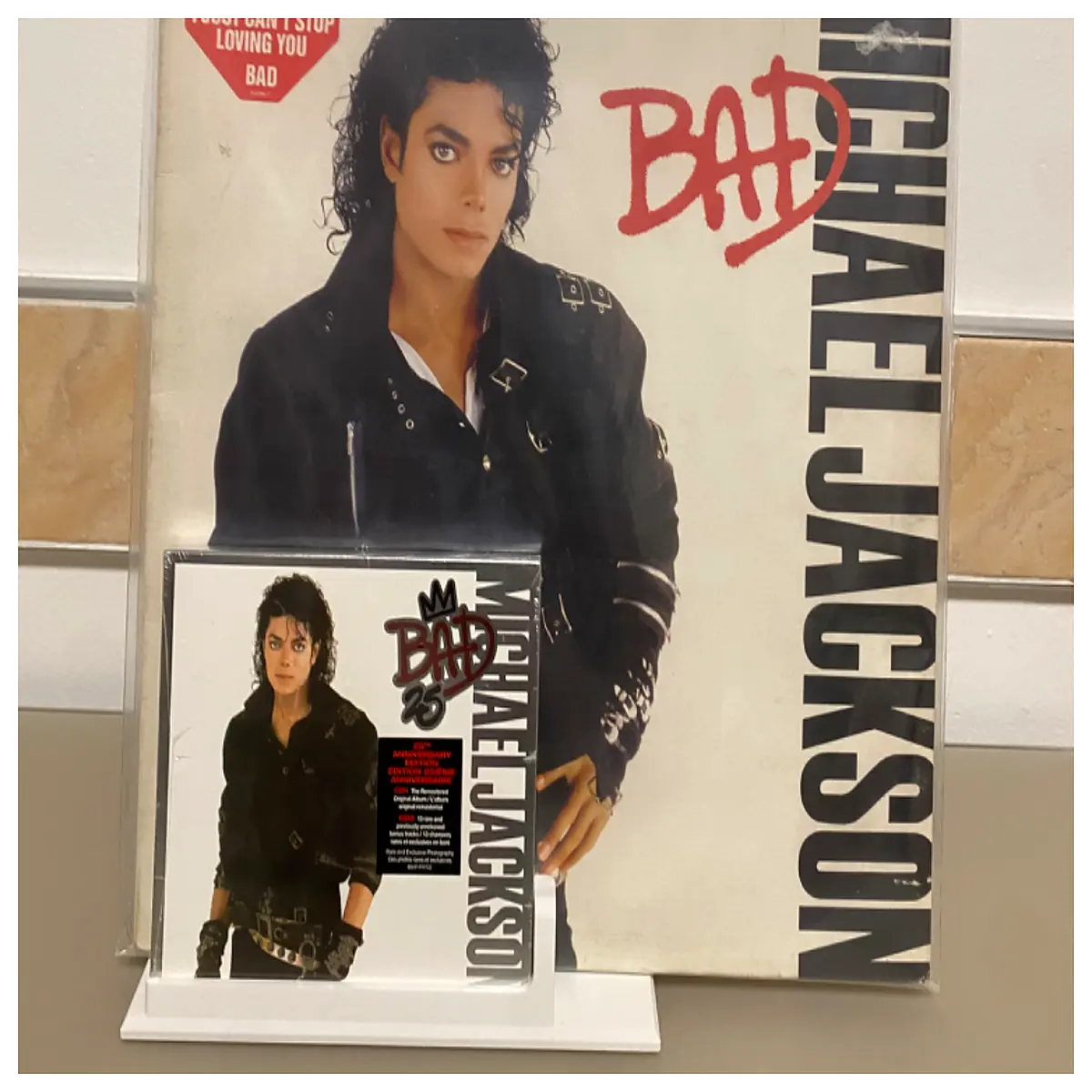 Vinyl Record Display Stand Minimalist CD Holder Collection Showcase Music Storage Solution