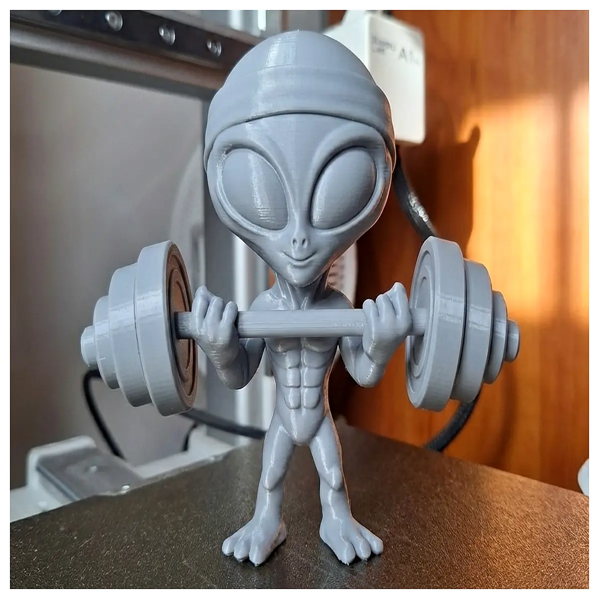 alien fitness brother workout gear gym apparel muscle building supplements protein powder pre workout energy drinks bodybuilding equipment home gym se