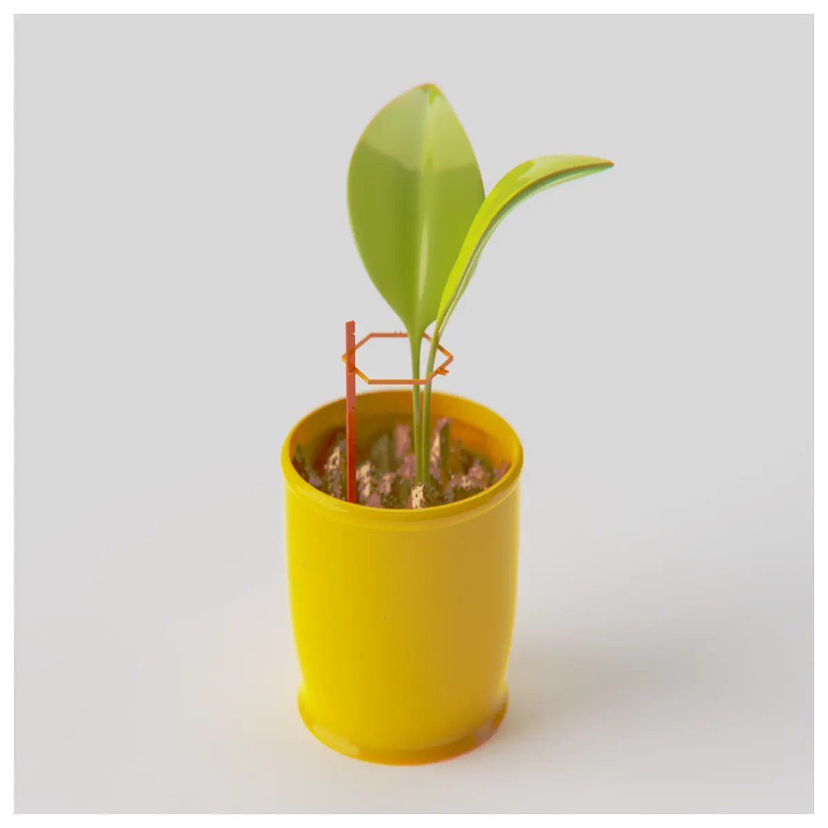 Flower Stem Support Plant Support Stakes Vertical Growth Climbing Vine Support Stem Support System