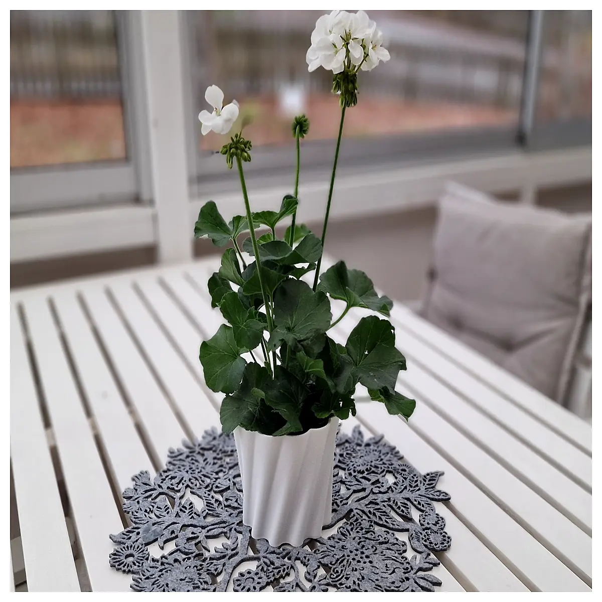 Flower Pot Ceramic Planter Indoor Plants Flower Pot Potted Plant Garden Planter Decorative Planter Succulent Planter Modern Planter Creative Planter