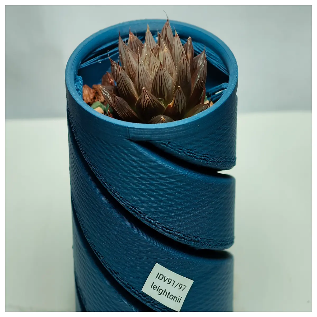 Succulent Planter Pot Root Flower Pot Inner Spiral Germination Tray Succulent Growing Root Drainage Mini Pot