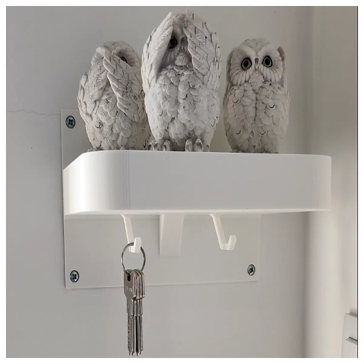 Key Hook Box Lid Shelf Wall Mounted Outdoor Garden Storage Rack Convenient Storage Solution