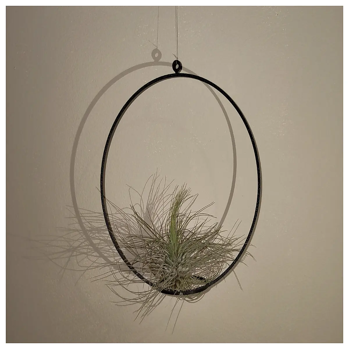 Air Fern Pot Ceramic Plant Pot Indoor Flower Pot Decorative Planter Succulent Pot Hanging Basket Garden Container