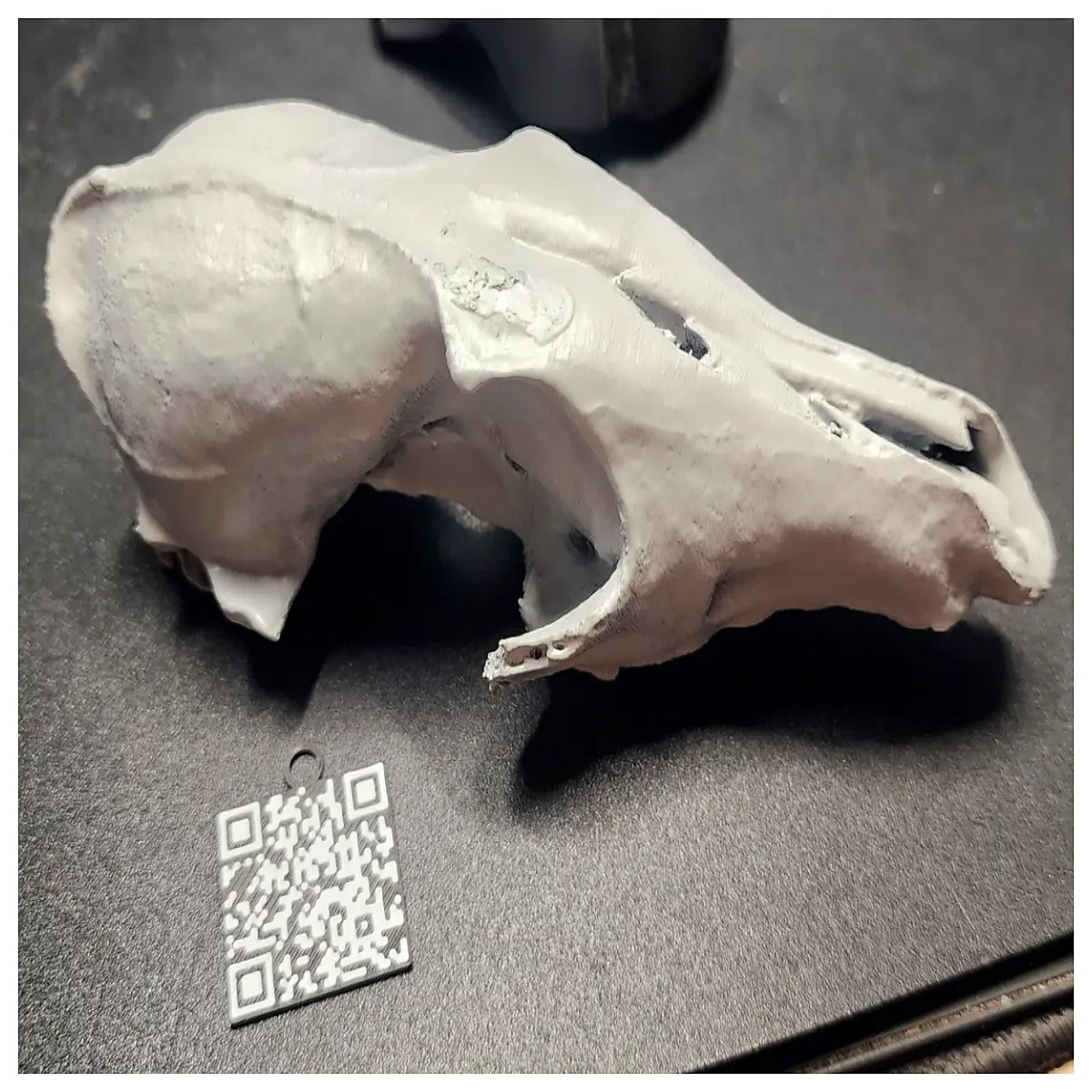 realistic fox skull for macabre home decor gothic witchcraft altar prop taxidermy style animal bone craft supply