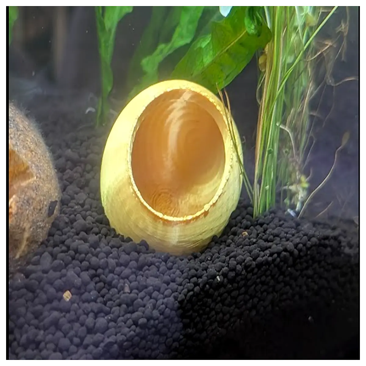 Aquarium Sphere Hide Cave Fish Diving Nest Aquarium Decoration Fish Shelter Space Aquarium Accessories