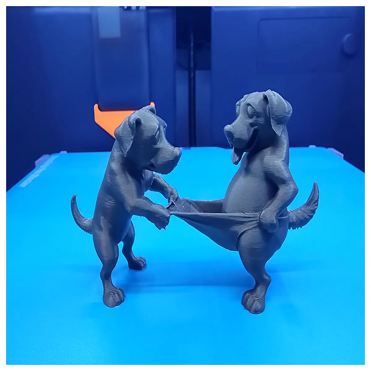 cute dog and puppy matching outfits for best friends
