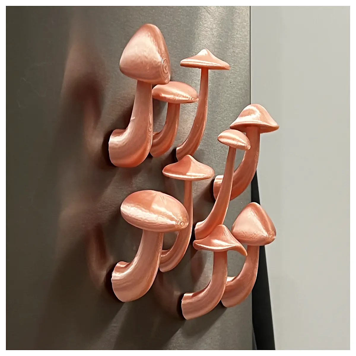 Grow Mushrooms on Refrigerator Indoor Gardening Ideas Mushroom Cultivation Guide Easy Mushroom Growing