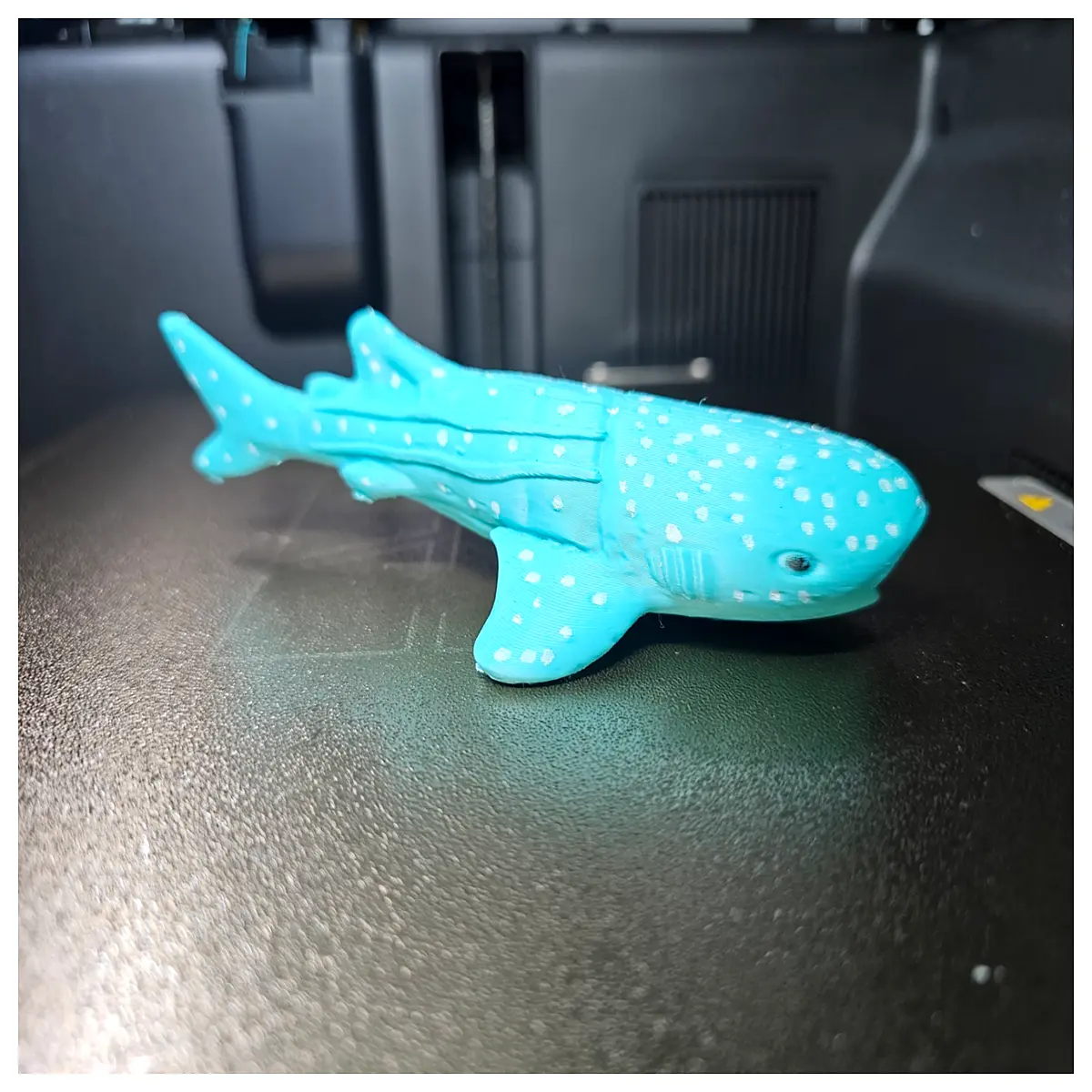 Cute Whale Shark Plush Toy Ocean Animal Model Children s Gift Educational Inspiration Realistic Simulation