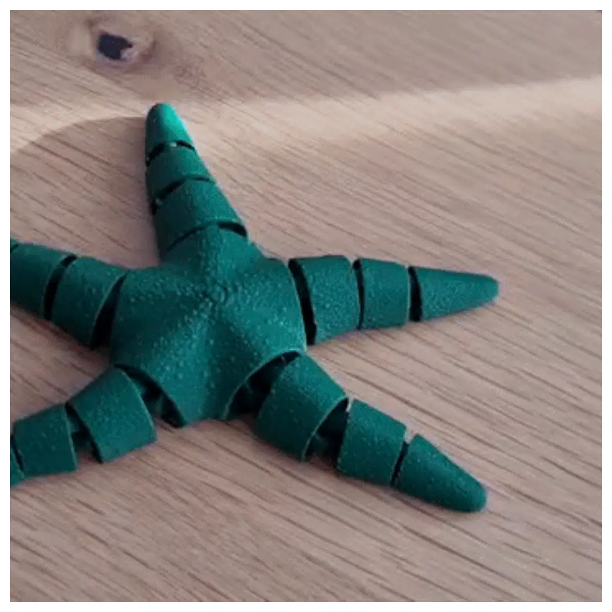 Articulated Starfish Model 3D Printed Educational Toy Biology Learning Moving Joints Anatomy Model