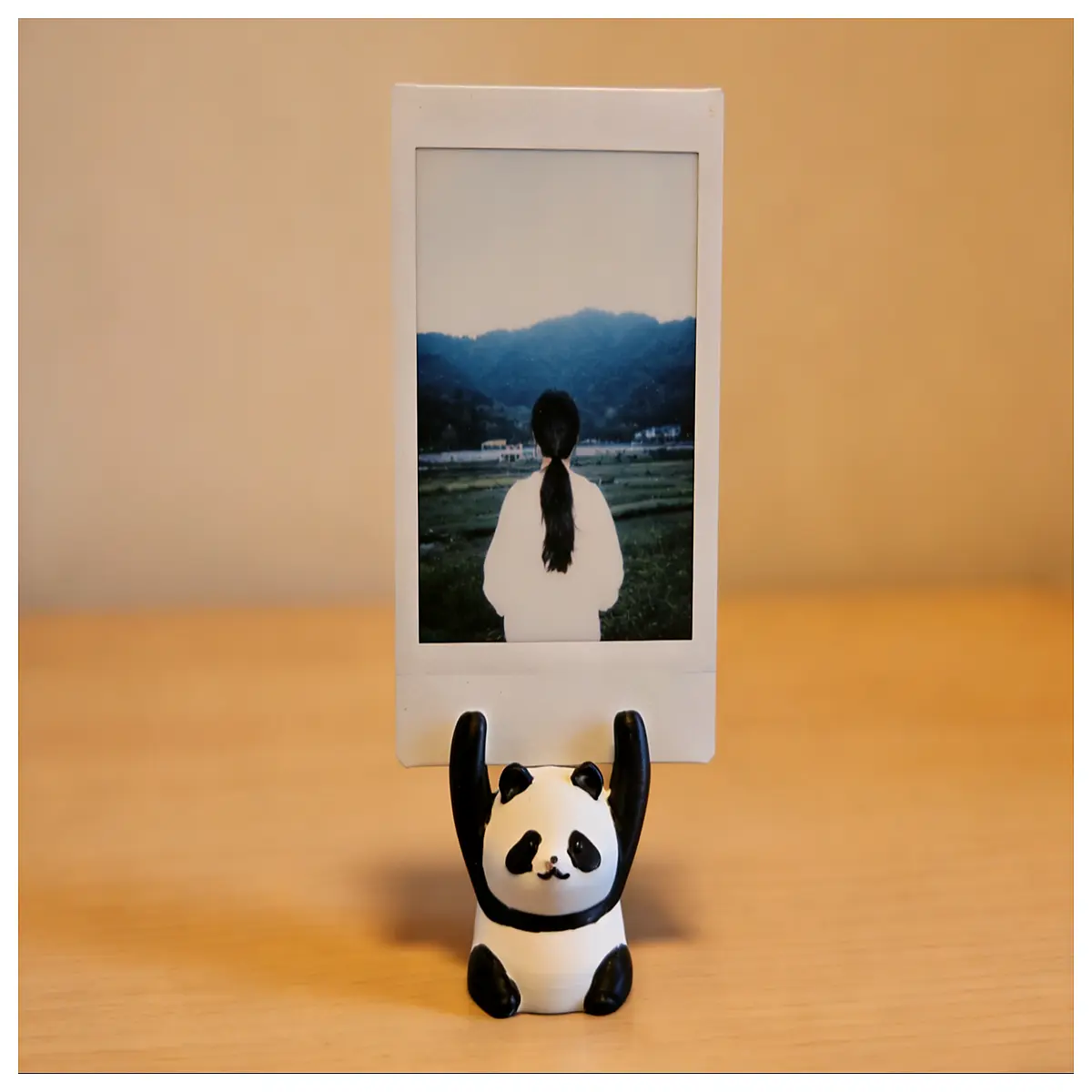 Panda Photo Frame Display Stand Desktop Photo Holder Mini Photo Wall Stand Camera Support Creative Decoration