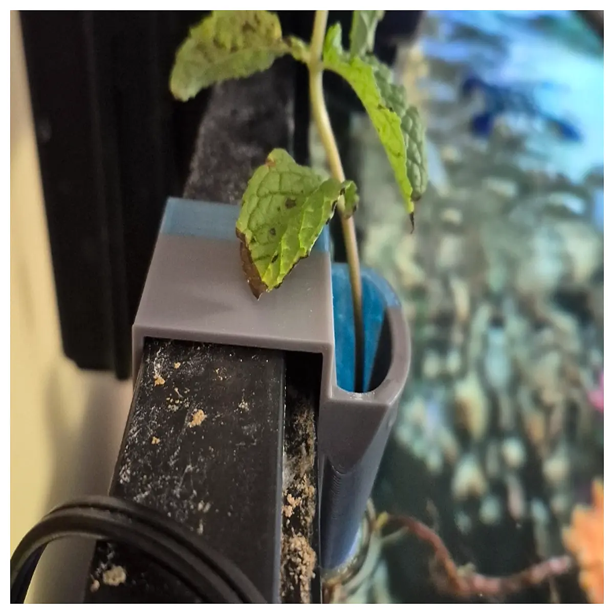 Aquarium Hydroponic Shelf Desktop Plant Stand Mini Fish Tank Support Fish Rack Succulent Shelf Indoor Plant Holder Decoration