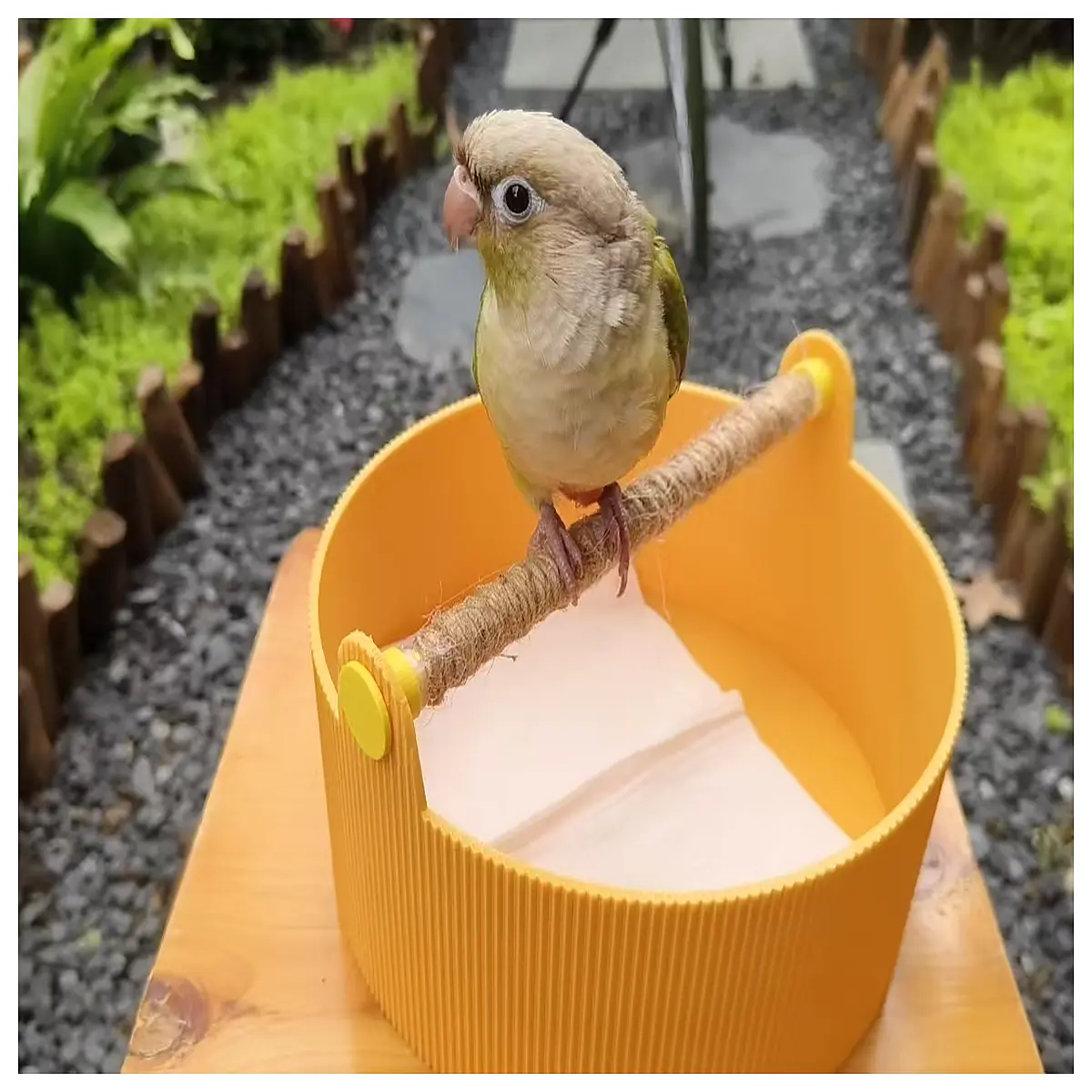 bird toilet training pad for pet birds parakeet cage liner absorbent non