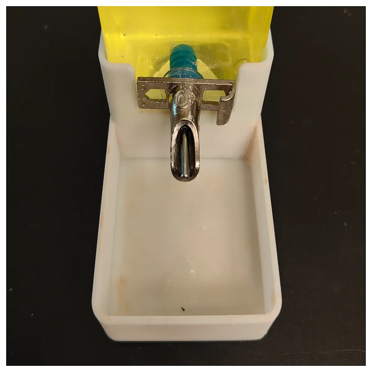 Pet Water Bowl Stand Water Bottle Holder Drinker Base Accessory Leak Prevention Water Fountain Parts
