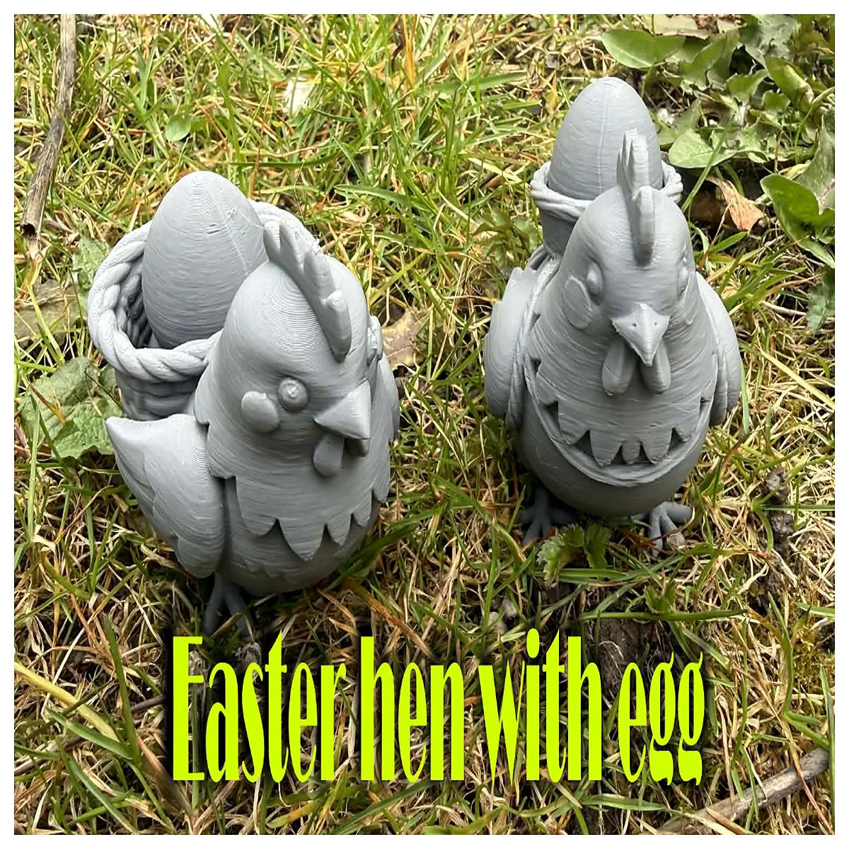 broody hen for hatching eggs mother chicken incubating chicks natural brooding layer bird