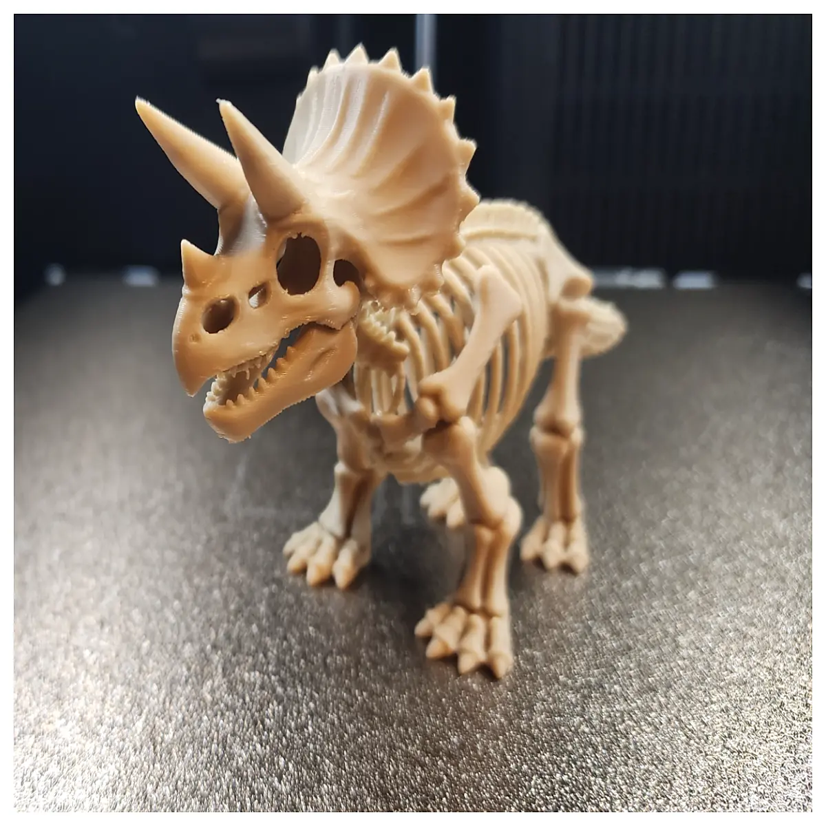 Triassic Dragon Model Toy Dinosaur Figure Child Birthday Gift Dinosaur Collection Realistic Triceratops