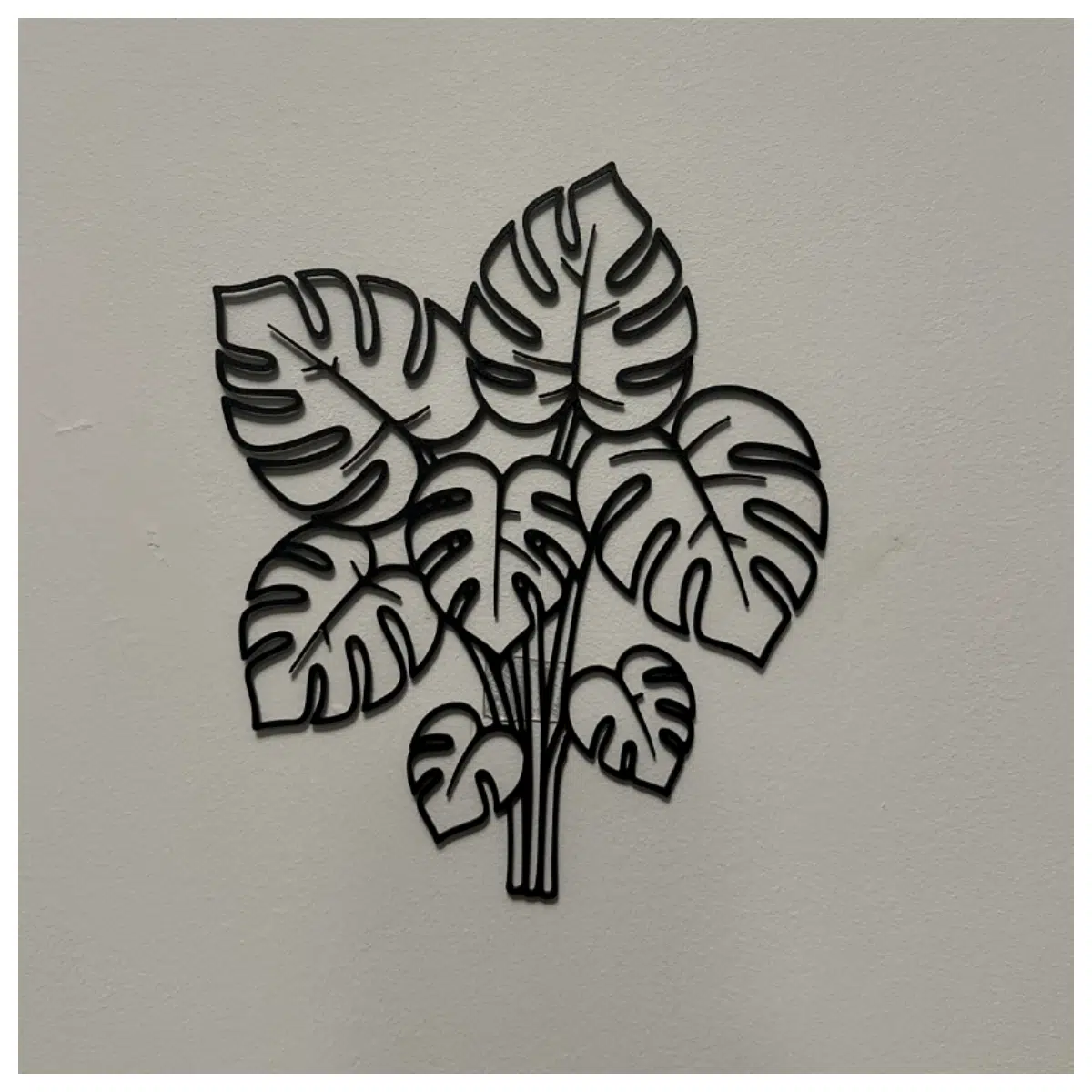 Kinkajou Leaf Wall Art Natural Plant Wall Decor Indoor Foliage Green Wall Kinkajou Leaves Create Fresh Space