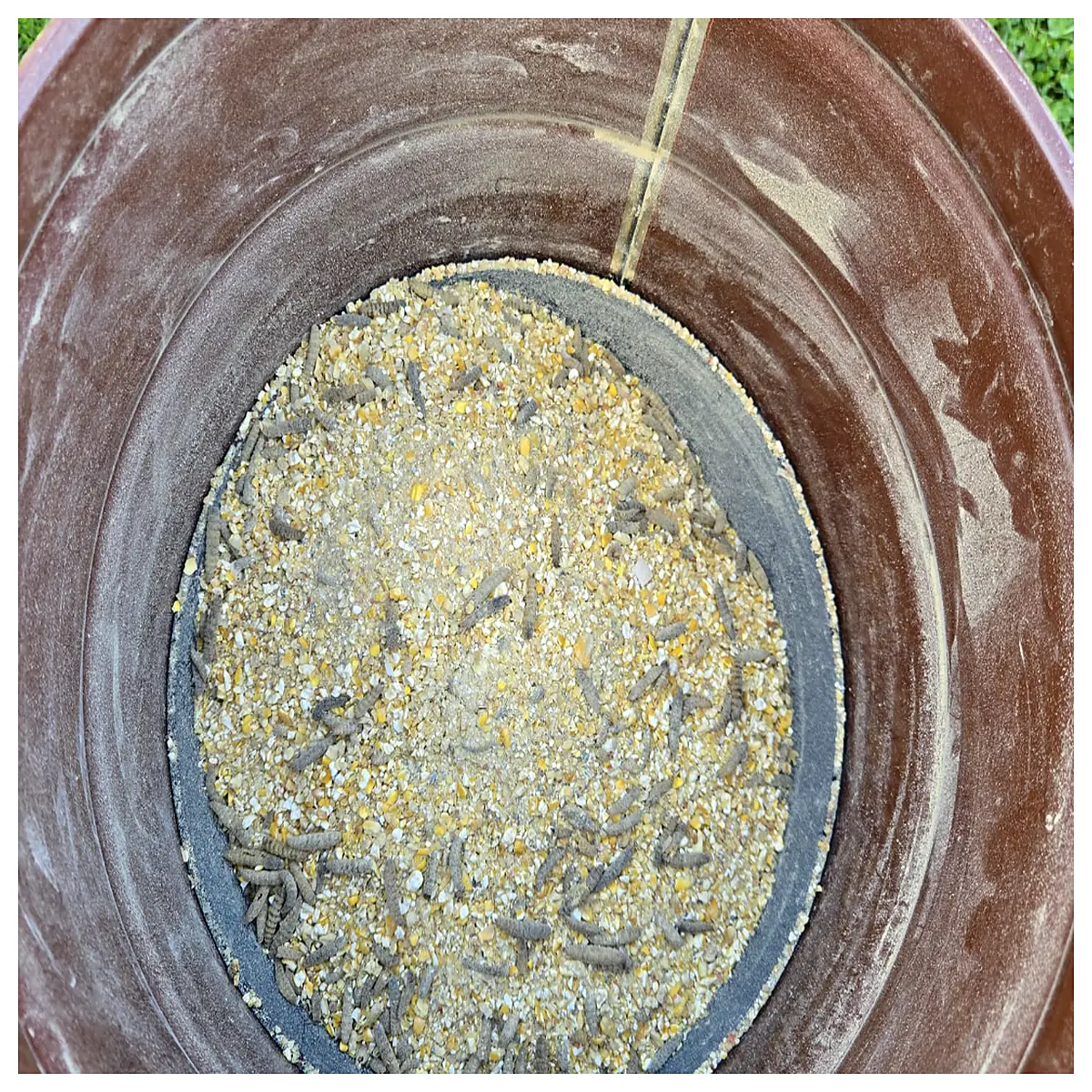 5 Gallon Hopper Feeder Filling Funnel Feed Hopper Food Processing Equipment Liquid Transfer