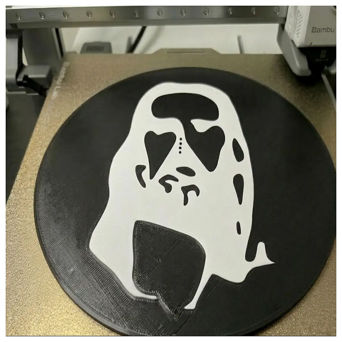 Jesus Face Optical Illusion Art Book Appreciation of Visual Deception Optical Phenomena Collection