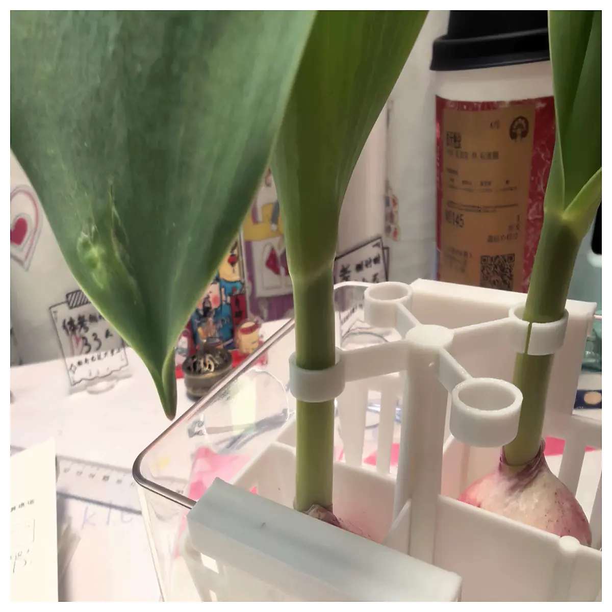 Hydroponic Tulip Support Overturn Support Planting Stand Flower Pot Cradle Tulip Growing System Vertical Garden
