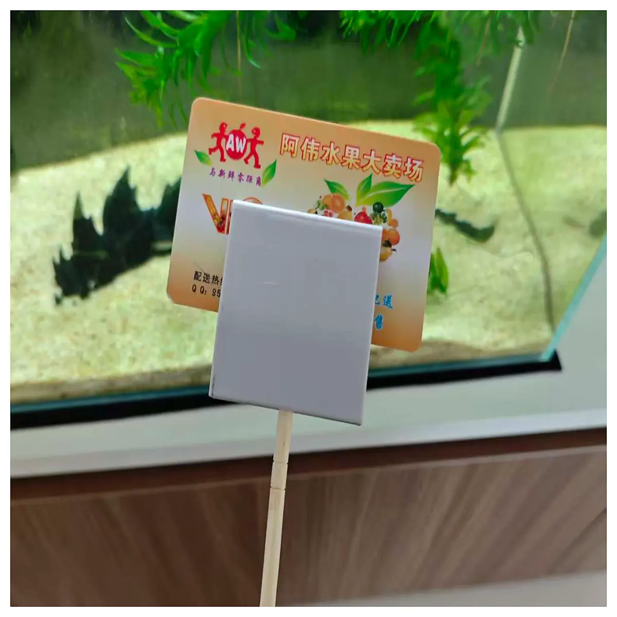 Aquarium Algae Scraper Card Holder Aquarium Plant Feeder Automatic Feeding Aquarium Equipment Fish Tank Accessories