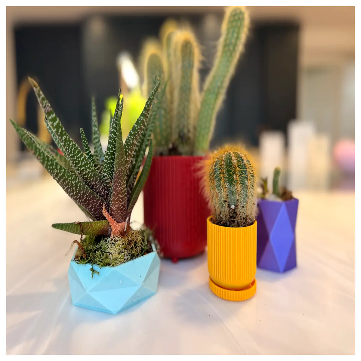 Geometric Short Pot Decorative Planter Indoor Flower Pot Small Planter Creative Planter Succulent Planter Plant Holder
