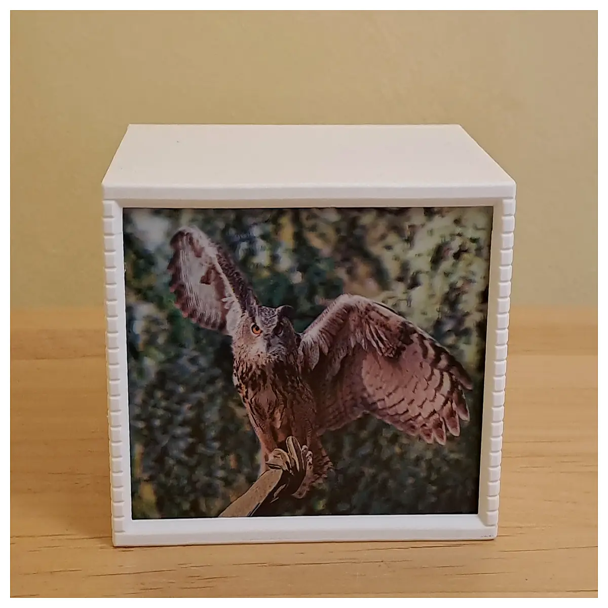 Postcard Album Stand Organizer Display Mini Figurines Desk Storage Box Office Organizer Creative Display Shelf Declutter Your Table